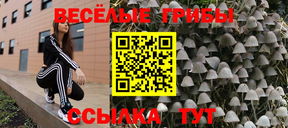 Псилоцибиновые грибы прущие грибы  Вход с VPN  Кизляр  наркошоп  Псилоцибиновые грибы Psilocybine cubensis 