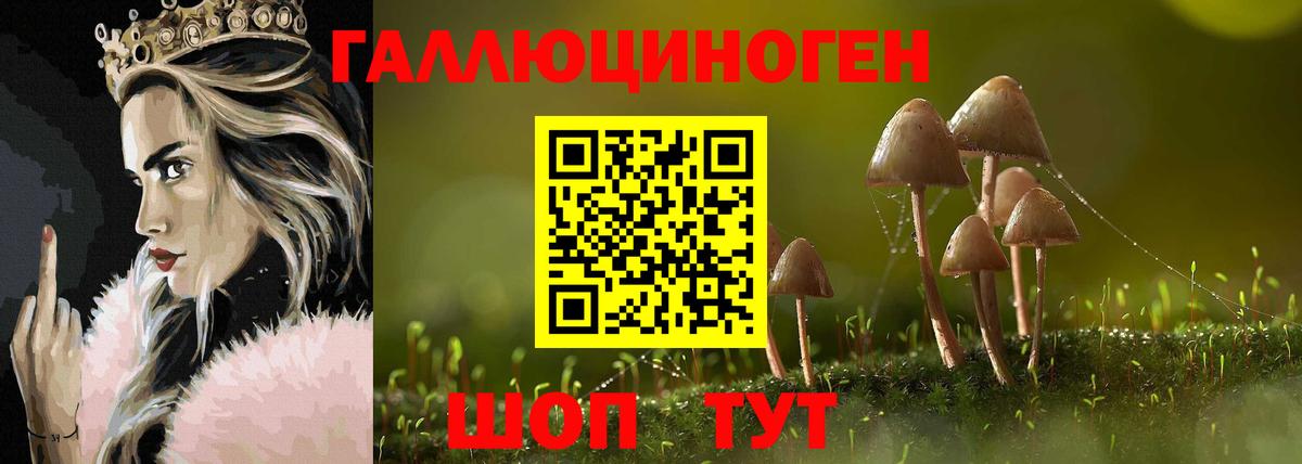 Галлюциногенные грибы ЛСД Кизляр